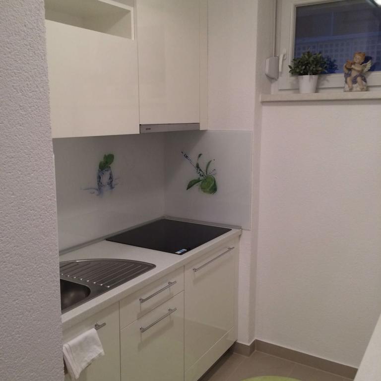 Zaprešić Angelina Apartment מראה חיצוני תמונה